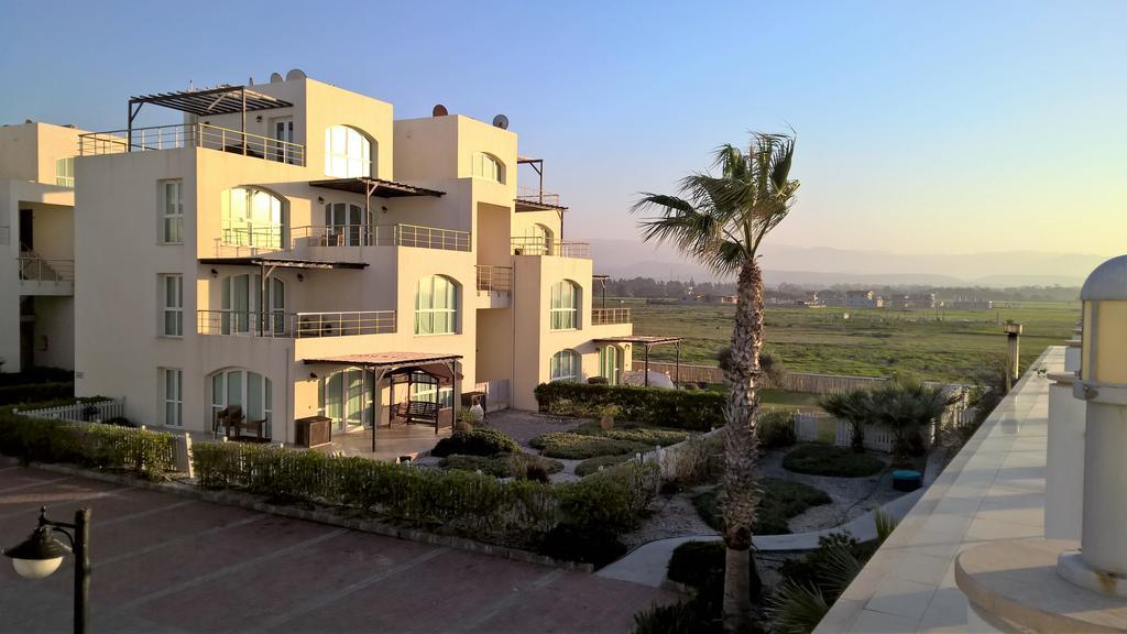 Aphrodite Beachfront Penthouse Apartment Ghaziveran Eksteriør billede