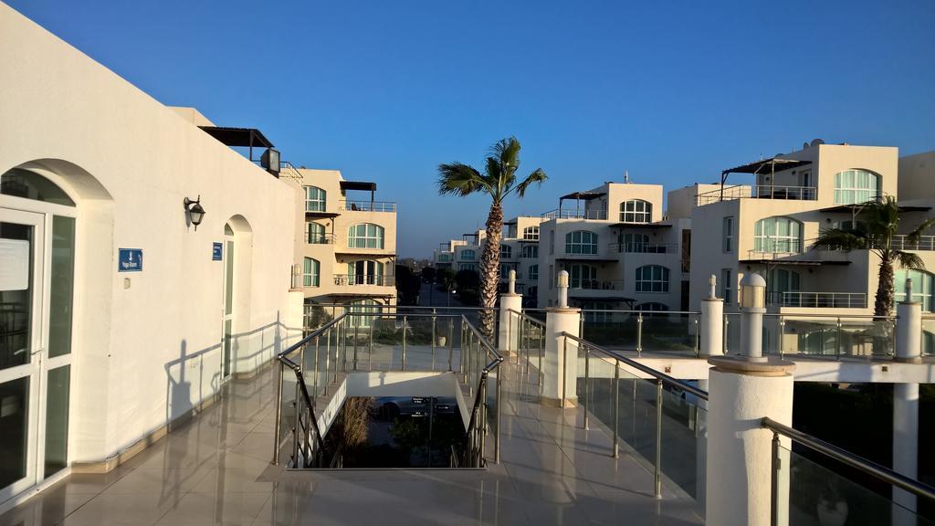 Aphrodite Beachfront Penthouse Apartment Ghaziveran Eksteriør billede
