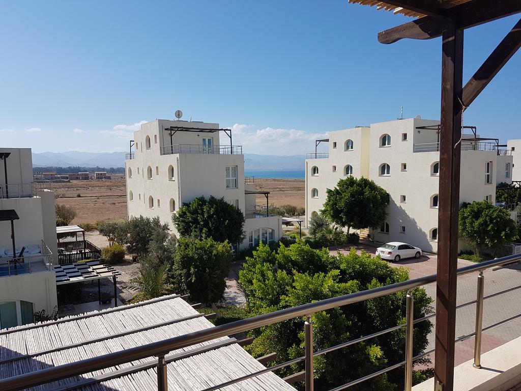 Aphrodite Beachfront Penthouse Apartment Ghaziveran Eksteriør billede